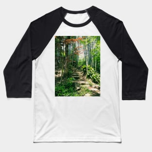 Steps in a Japanese Bamboo Forest Baseball T-Shirt